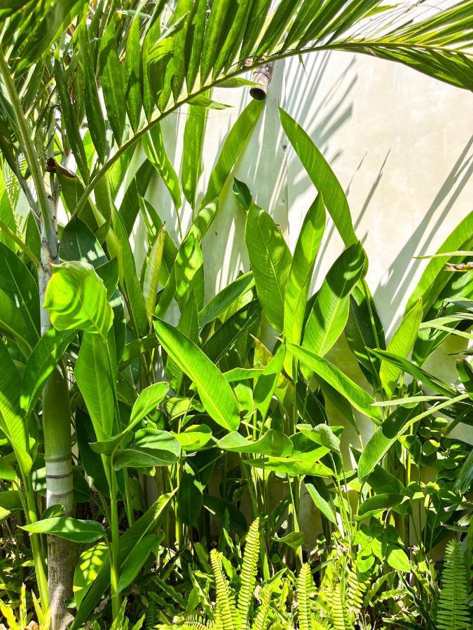 Las Flores Lombok Kuta  Zewnętrze zdjęcie